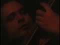 Luminescent Orchestrii 