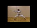 http://www.shotokanunleashed.com Tekki Shodan, literally meaning 