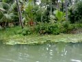 Social Traveling in India - Biking South India - Backwaters