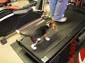 Kodak Berthiaume on Treadmill