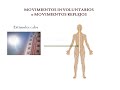 Movimientos y coordinación
