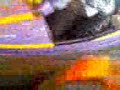 Bumper Cars Seec Sports