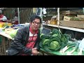 a french market song \"Savez Vous Planter les Choux?\"