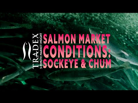 3MMI - Salmon Market Conditions: Sockeye Up & Chum Down