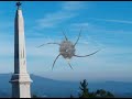 mata de buçaco luso