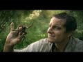anuncio de discovery channel, 