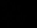 Search Video