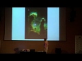 Walter Lewin en Cosmocaixa 1 de 8
