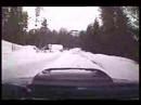 På tur i skogen