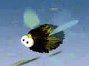 bee_animation_test
