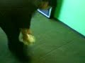 C.ronaldo 2