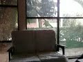 Video0002