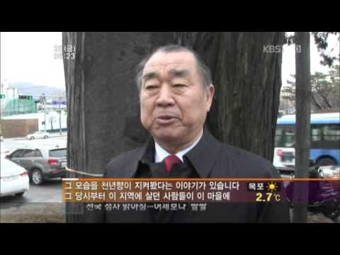 대법원 앞 천년향 목욕하던 날(KBS2)