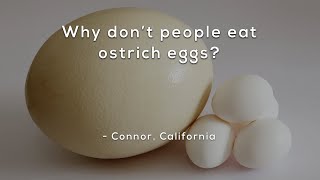 Why don’t people eat ostrich eggs?
