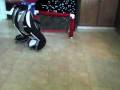 videos de pro mini-hockey