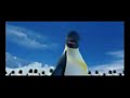 Adiga happy feet II - mutlu ayaklar II