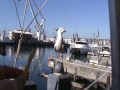 Cape Town Day 1_0001.wmv