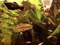 Aquariumfilm van Poolcase Aquariumfilm van Poolcase