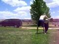 taltho teaching martial arts #1