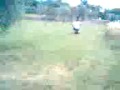 videos de fuoristrada con minimoto 4