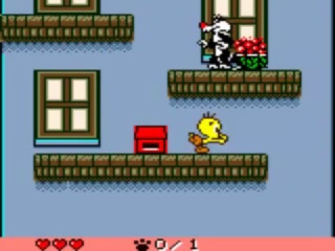 動画
