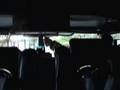 Wallington Fire Department Engine Co. 202 Ride Along