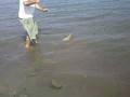 videos de La pesca del turco.wmv