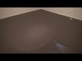 1001 Larchmont Ave- WSSC Flood Damage Part #1 1001 Larchmont Ave- WSSC Flood Damage Part #1