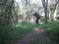 TNN Video 2