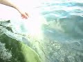Whale Race in Little Bay Islands