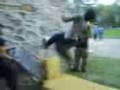 videos de wall flip