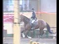 Lodovico Cerato Riding The stallion Jicky De Baugy Lodovico Cerato Riding The stallion Jicky De Baugy