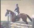 Lodovico Cerato Riding The stallion Jicky De Baugy