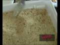 videos de Cotolette alla palermitana