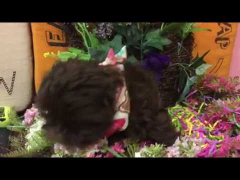 NALA is so sweet Loves to give kisses