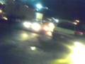 videos de pointer blanco (aaron)
