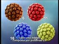 Gardasil - Mecanismo de Ac��o (Portugu�s)