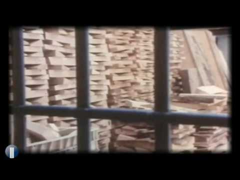 Strumenti musicali: il violino
