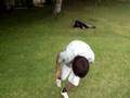 videos de Tello Julio !
