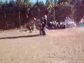 dirtbikewheelie