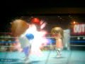 wii boxing dallow style 7