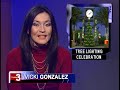 Garden Grove Tree Lighting Celebration