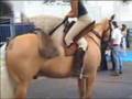 MAKIMENDA CABALLOS (FERIA DEL CABALLO EN BARCELONA MOLANTE