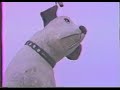 Dog God