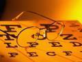 Seeing Is Believing: How the Brain Interprets Vision