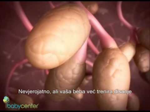 Začeće, trudnoca i porod - filmić s prevodom