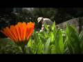videos de ESF in action - Latvia