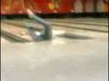 videos de El mejor tiro del año