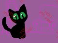 A kitty kat Scratching itself and blinking