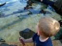 Kyle at the Long Beach Aquarium Kyle at the Long Beach Aquarium